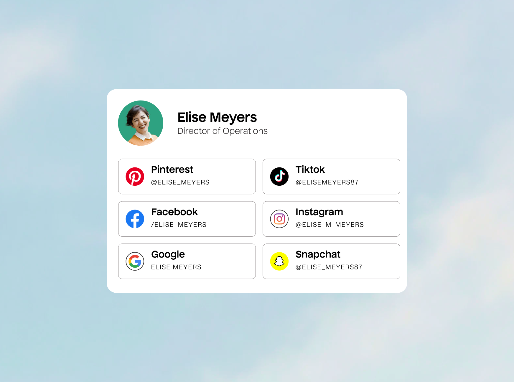 Illustration of Elise Meyers, Director of Operation's profile with matched profiles for Pinterest, TikTok, Facebook, Instagram, Google, and Snapchat.
