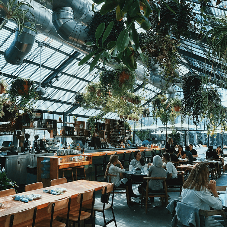 A bright, airy indoor restaurant with a high glass ceiling and exposed metal air ducts. Numerous hanging plants drape down from the ceiling, giving the dining area a greenhouse-like feel. Patrons are seated at wooden tables, and a bar and service area are visible in the background.