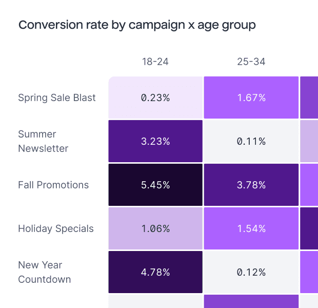 Heatmap showing conversion rates by marketing campaign and age group, highlighting which campaigns perform best for each audience segment.
